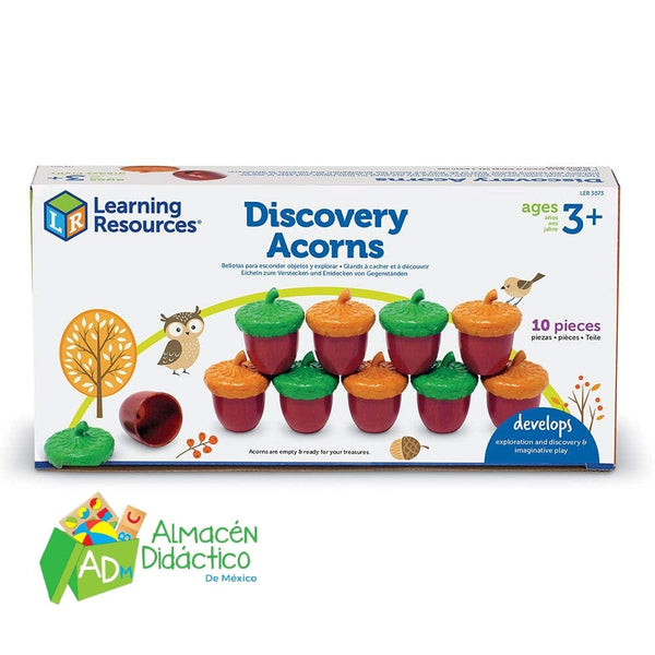 DISCOVERY ACORNS / BELLOTAS PARA ESCONDER OBJETOS