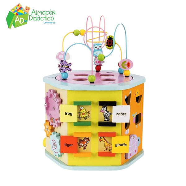 CENTRO DE ACTIVIDADES LABERINTO