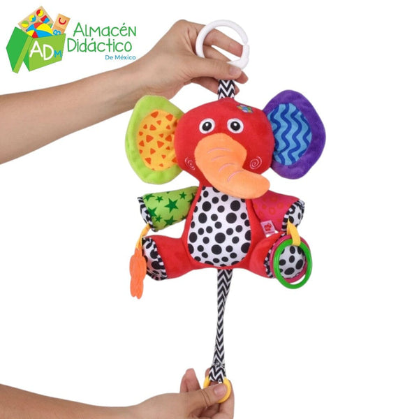 ELEFANTE MULTISENSORIAL