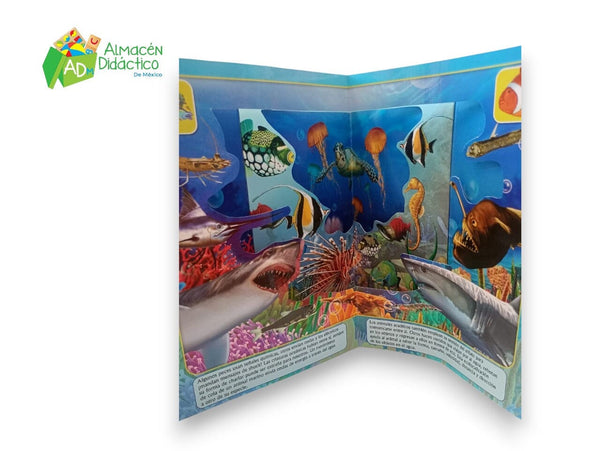 EXPLORANDO EN 3D - CRIATURAS DEL OCEANO