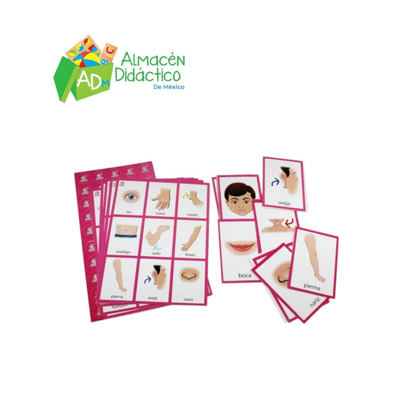 LOTERIA ARCOIRIS DE PARTES DEL CUERPO