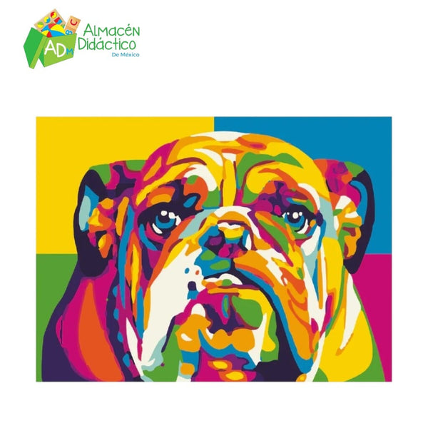 PINTA POR NUMERO - BULLDOG MULTICOLOR