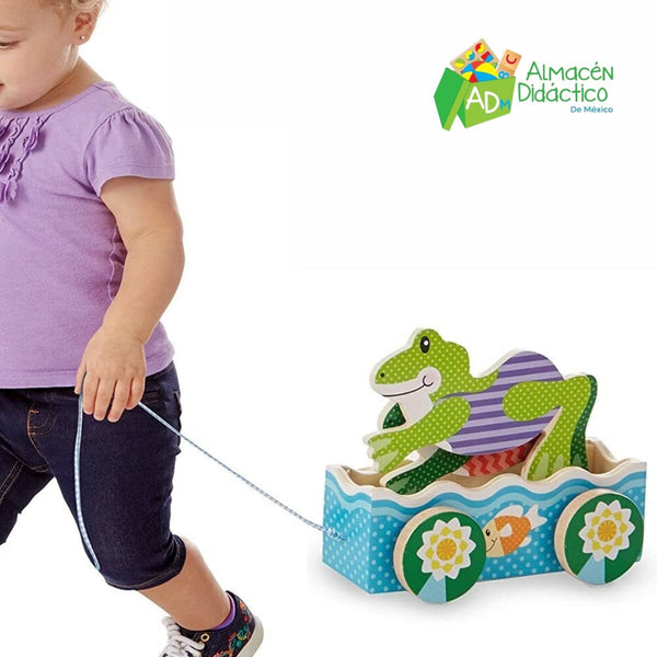 JUGUETE DE ARRASTRE RANAS AMISTOSAS - M&D - FRIENDLY FROGS PULL TOY