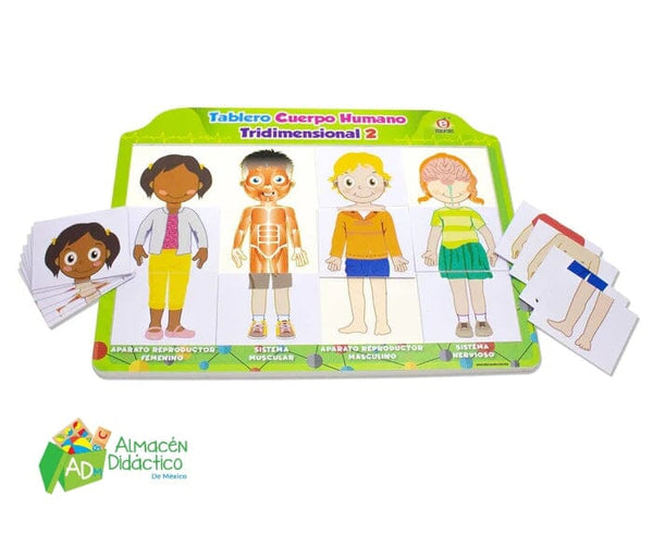 TABLERO DE CUERPO HUMANO TRIDIMENCIONAL 2