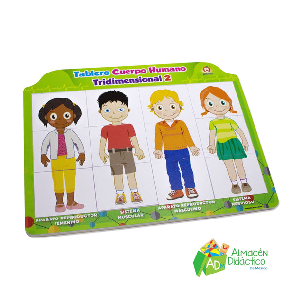 TABLERO DE CUERPO HUMANO TRIDIMENCIONAL 2