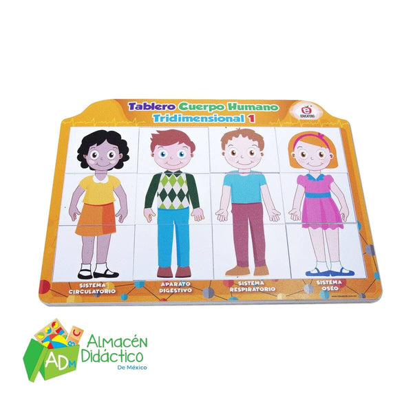 TABLERO DE CUERPO HUMANO TRIDIMENCIONAL 1