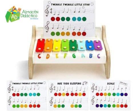 XILOFONO DE ELEFANTE