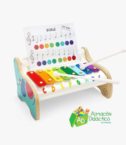 XILOFONO DE ELEFANTE