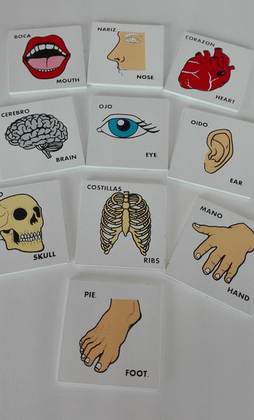 MEMORAMA DEL CUERPO HUMANO